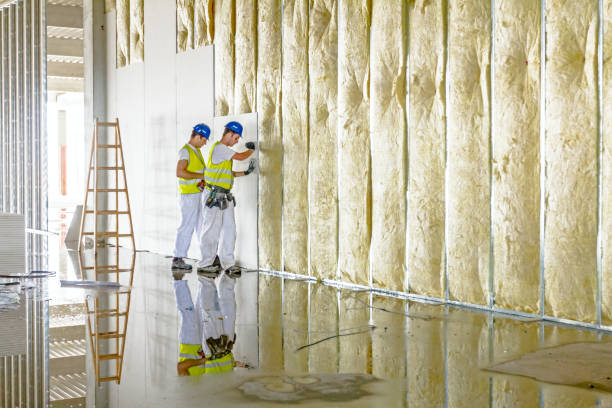 Insulation Contractors for Homes in Blissfield, MI